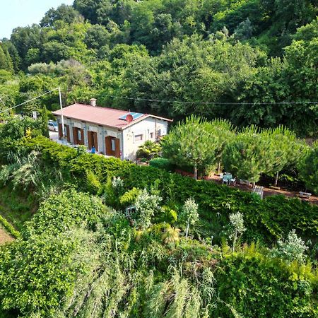 Agriturismo Le Fontane - Lago Di Bolsena Villa Grotte di Castro Bagian luar foto