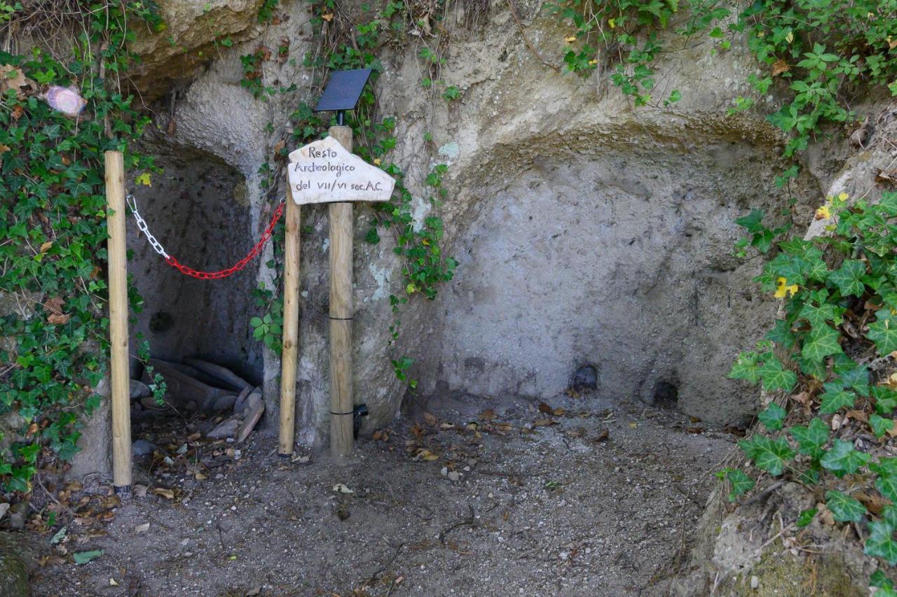 Agriturismo Le Fontane - Lago Di Bolsena Villa Grotte di Castro Bagian luar foto