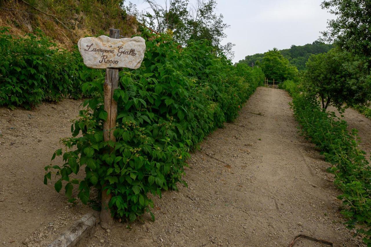 Agriturismo Le Fontane - Lago Di Bolsena Villa Grotte di Castro Bagian luar foto