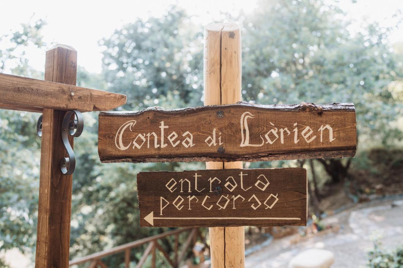 Agriturismo Le Fontane - Lago Di Bolsena Villa Grotte di Castro Bagian luar foto