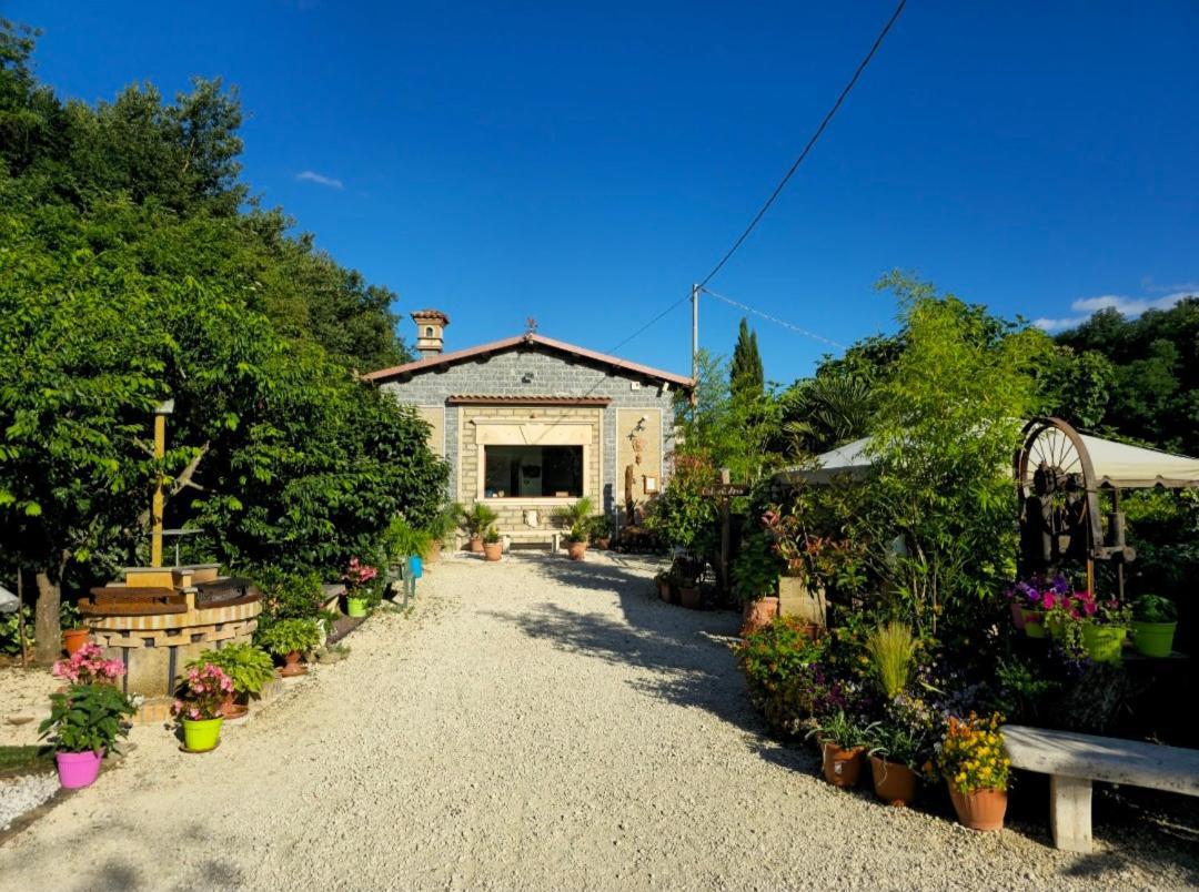 Agriturismo Le Fontane - Lago Di Bolsena Villa Grotte di Castro Bagian luar foto