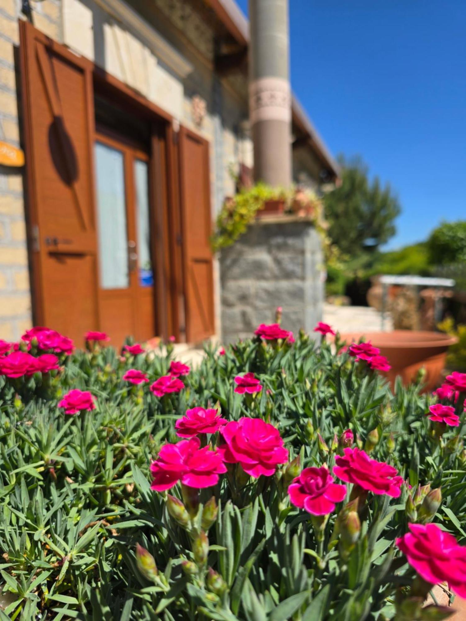 Agriturismo Le Fontane - Lago Di Bolsena Villa Grotte di Castro Bagian luar foto