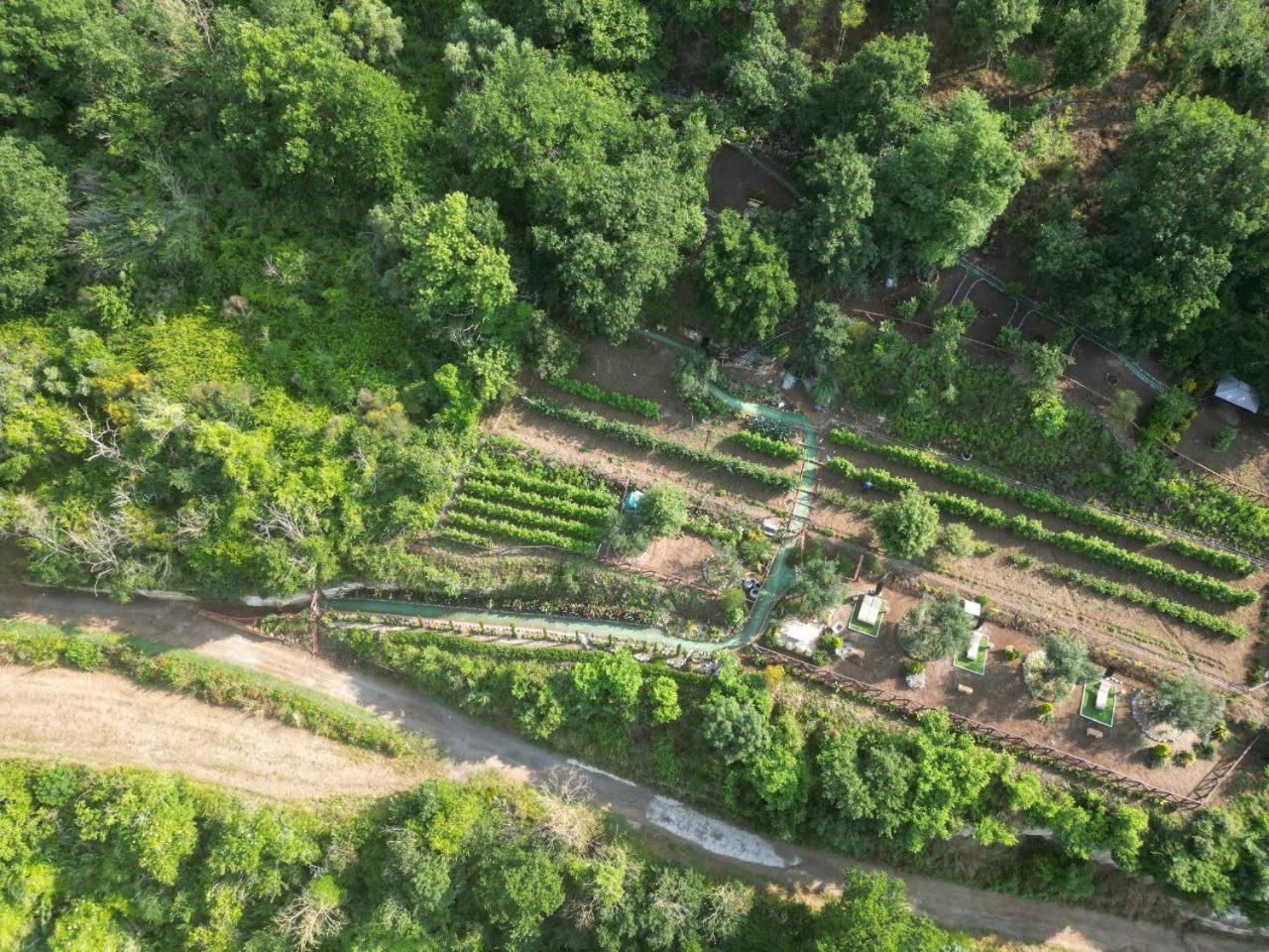 Agriturismo Le Fontane - Lago Di Bolsena Villa Grotte di Castro Bagian luar foto