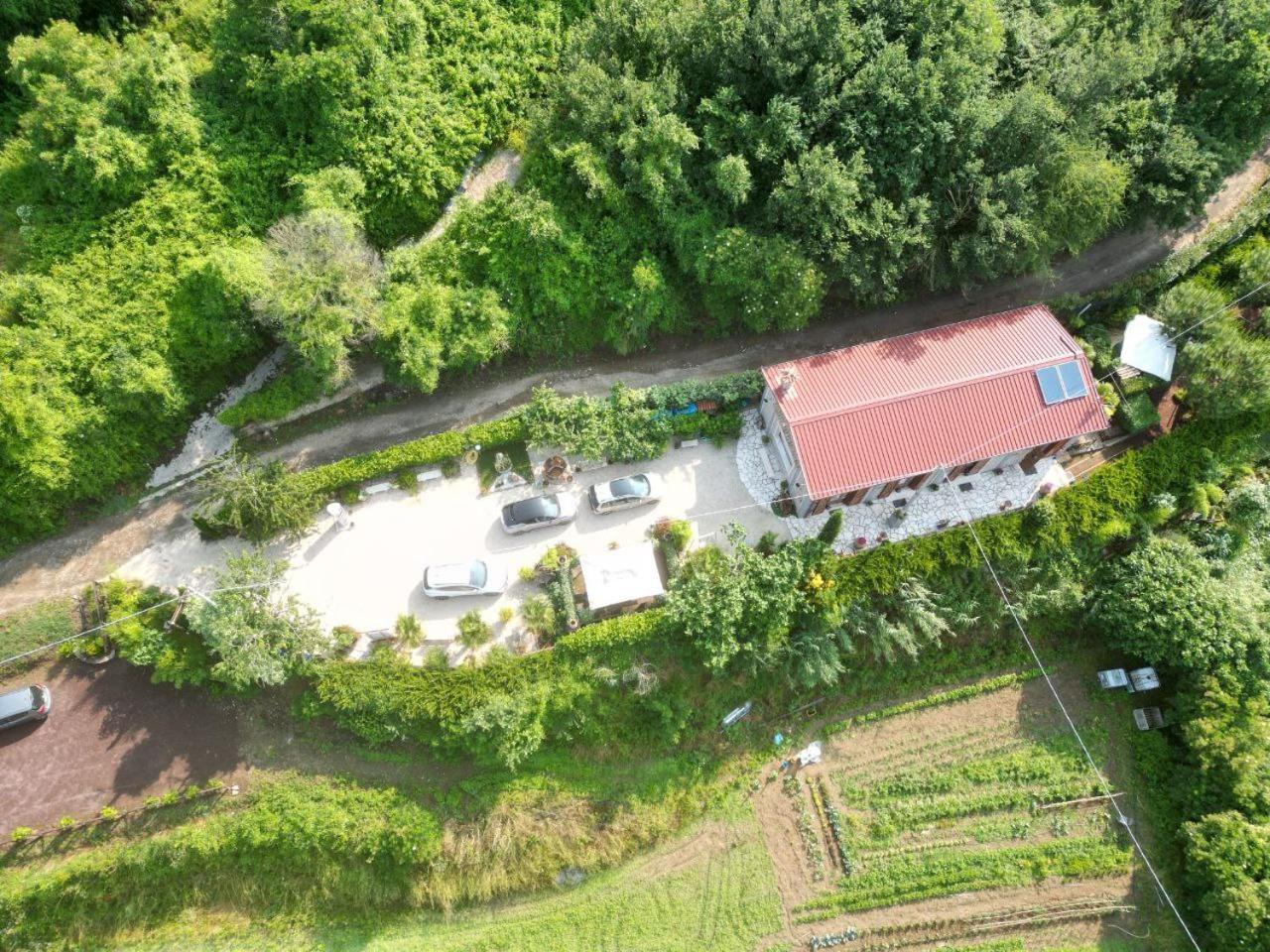 Agriturismo Le Fontane - Lago Di Bolsena Villa Grotte di Castro Bagian luar foto