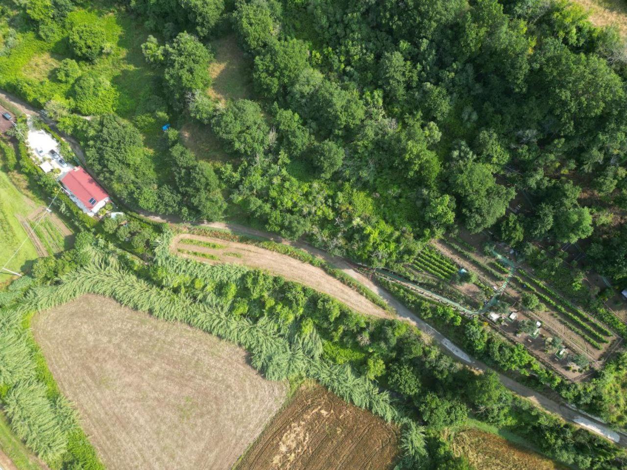 Agriturismo Le Fontane - Lago Di Bolsena Villa Grotte di Castro Bagian luar foto